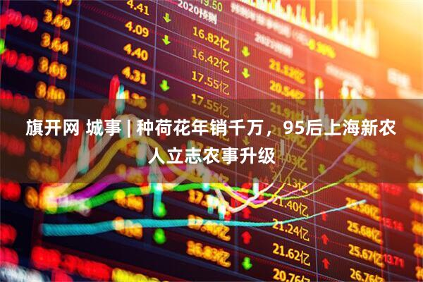 旗开网 城事 | 种荷花年销千万，95后上海新农人立志农事升级