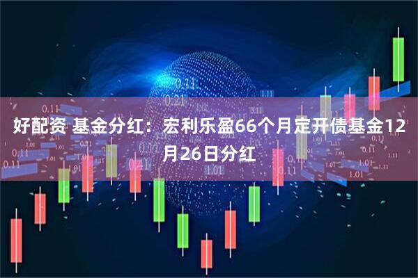 好配资 基金分红：宏利乐盈66个月定开债基金12月26日分红